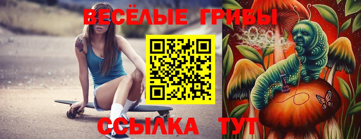 Псилоцибиновые грибы Cubensis Можайск