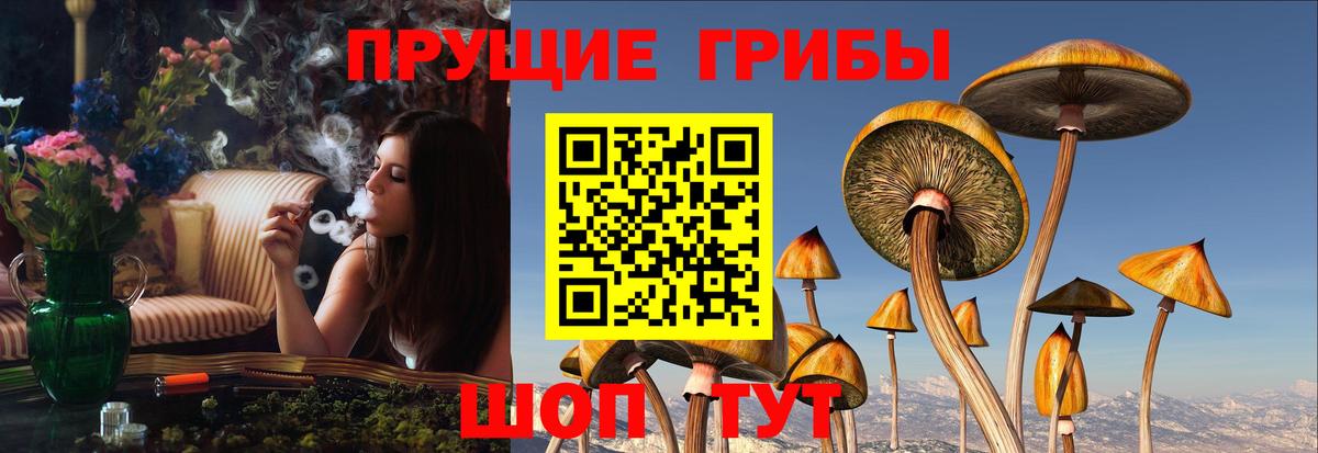 Псилоцибиновые грибы Psilocybine cubensis  Вход с VPN  Можайск  купить закладку  Галлюциногенные грибы Psilocybine cubensis 